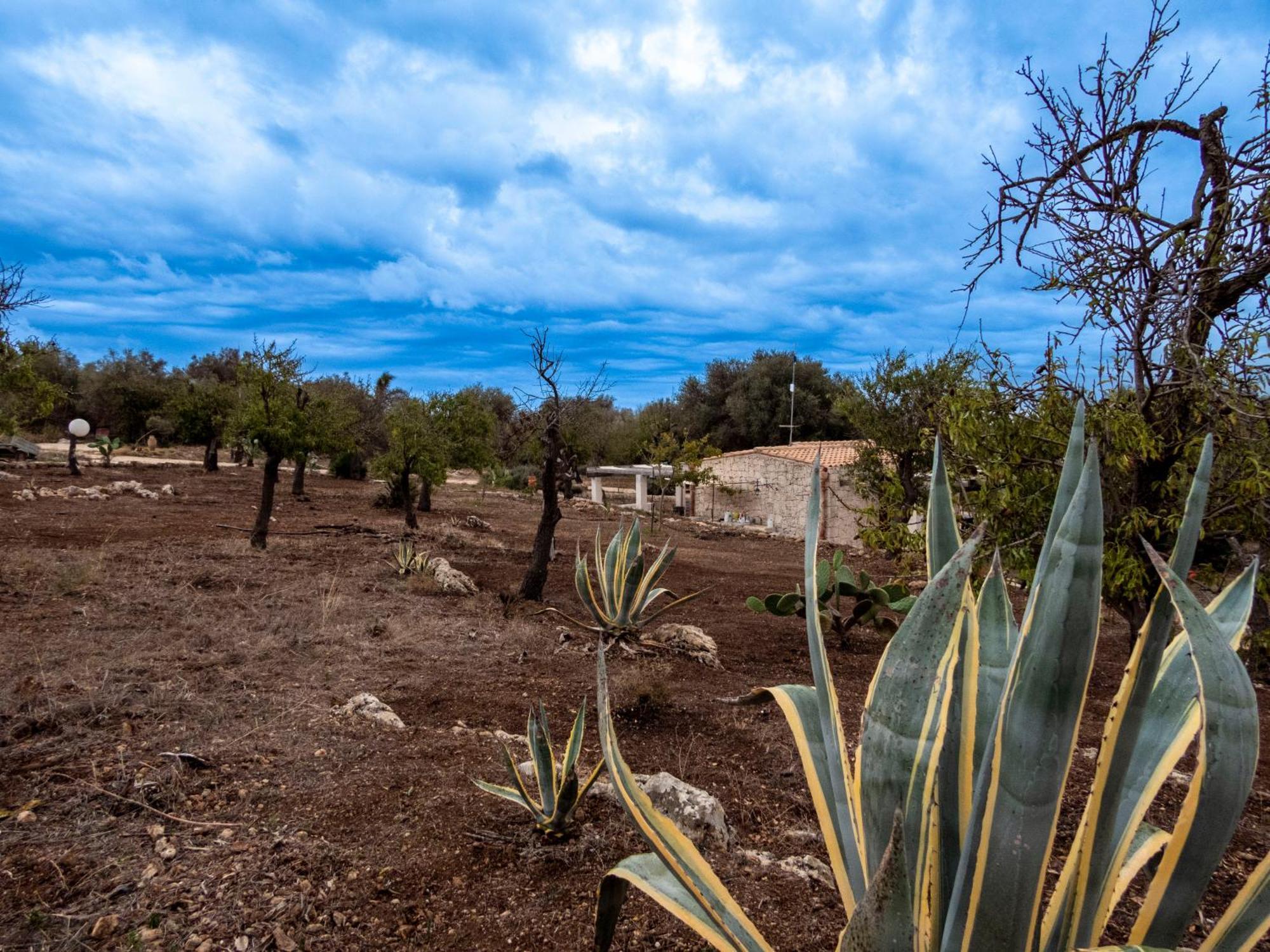 Casa Bedda Villa Lido di Noto Eksteriør bilde